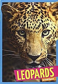 Leopards (Library Binding)