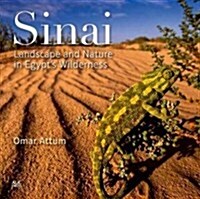 Sinai: Landscape and Nature in Egyptas Wilderness (Hardcover)