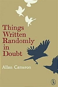 Things Written Randomly in Doubt (Paperback)