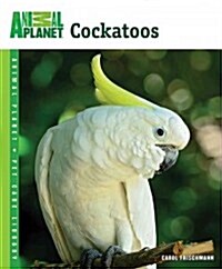 Cockatoos (Paperback, 1st)