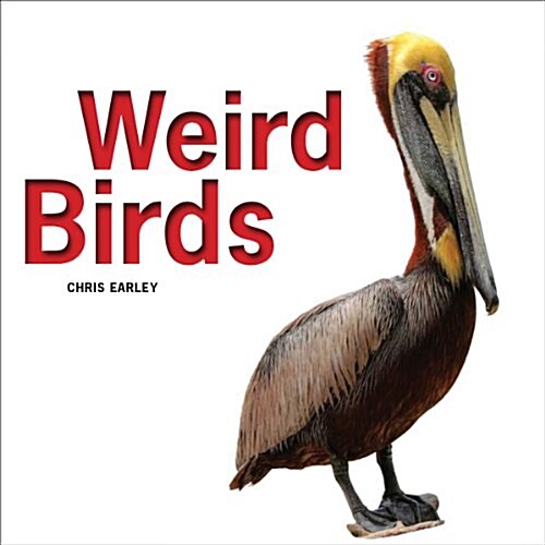 Weird Birds (Hardcover)