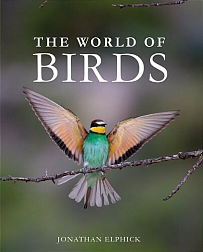The World of Birds (Hardcover)