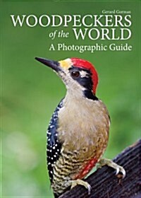 Woodpeckers of the World: A Photographic Guide (Hardcover)