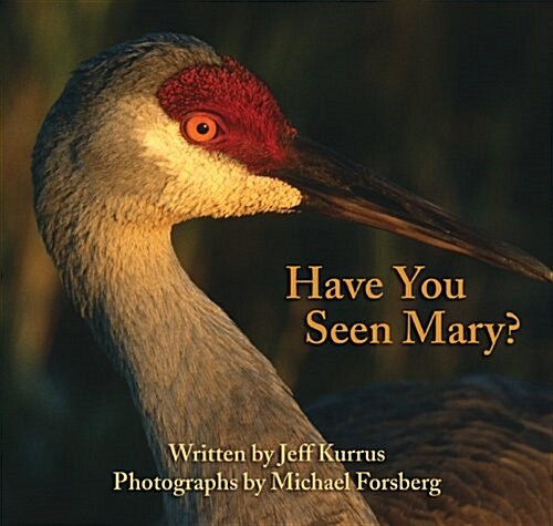 Have You Seen Mary? (Paperback)