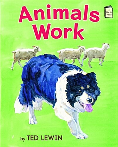 Animals Work (Hardcover)