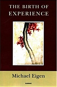 The Birth of Experience (Paperback)