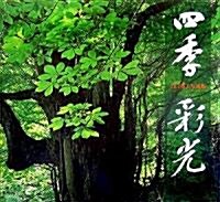 四季彩光―山口英夫寫眞集 (大型本)