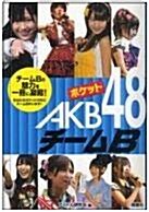 [중고] ポケットAKB48 チ-ムB 미니사진집