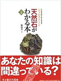天然石(ジェムスト-ン)がわかる本―天然石檢定2級公式敎科書 (學ぶ創作市場) (大型本)