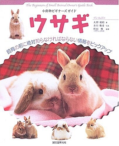 [중고] ウサギ (小動物ビギナ-ズガイド) (單行本)