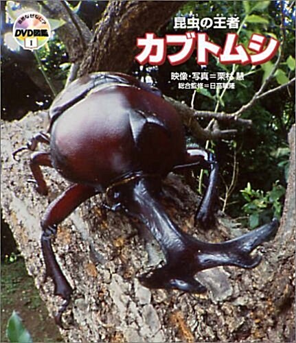 自然なぜなに?DVD圖鑑1 昆蟲の王者 カブトムシ (大型本)
