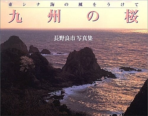 九州の櫻―東シナ海の風をうけて (海鳥フォト·ブックス) (大型本)
