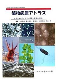 カラ-版 植物病原アトラス―目で見るウイルス·細菌·菌類の世界 (Color Atlas of Plant Pathogens) (單行本)