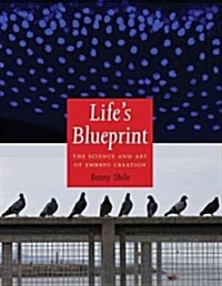 Lifes Blueprint: The Science and Art of Embryo Creation (Hardcover)
