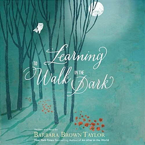 Learning to Walk in the Dark: Because Sometimes God Shows Up at Night (Audio CD)