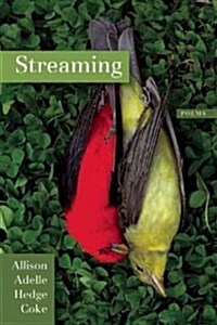 Streaming (Paperback)