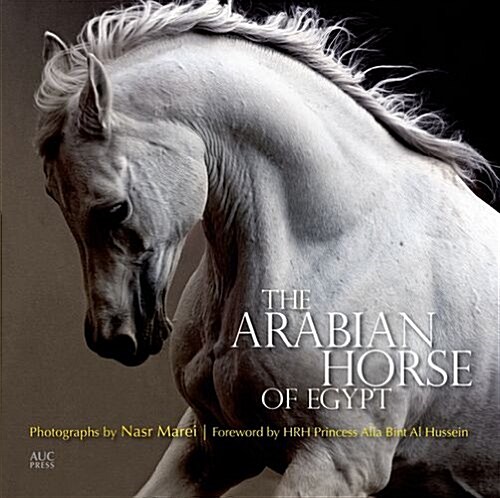 The Arabian Horse of Egypt (Paperback, Reprint)