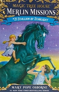 Stallion by Starlight (Paperback)
