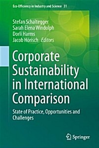 Corporate Sustainability in International Comparison: State of Practice, Opportunities and Challenges (Hardcover, 2014)