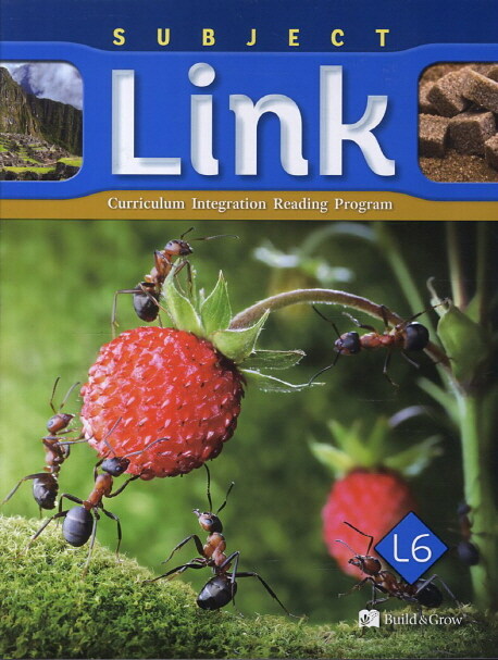 Subject Link 6 (Student Book + Workbook + Audio CD)
