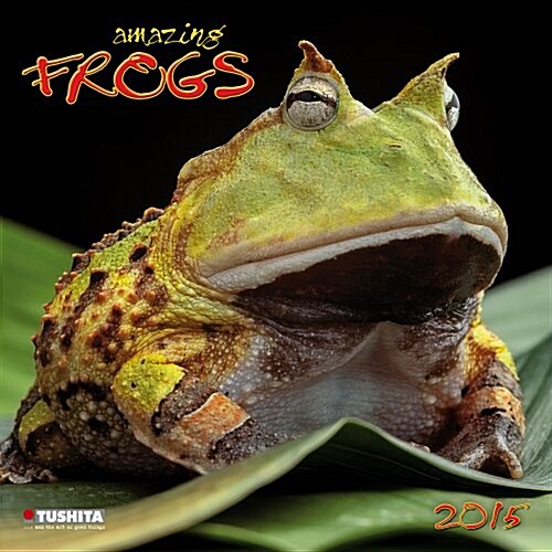 Amazing Frogs 2015 (Paperback)