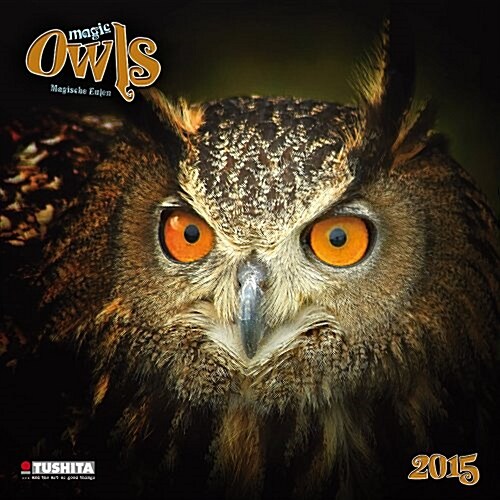 Magic Owls 2015 (Paperback)