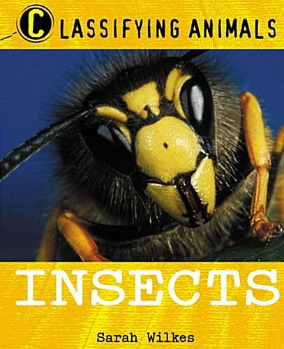 Classifying Animals: Insects (Paperback)