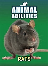 Rats (Paperback)