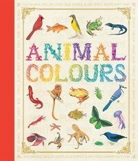 First Concept: Animal Colours (Hardcover)