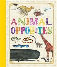 First Concept: Animal Opposites (Hardcover)