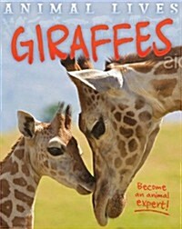 Animal Lives: Giraffes (Paperback)