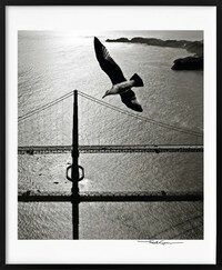 San Francisco. Portrait of a City, Art Edition No. 76-150 'Seagull over Golden Gate Bridge, early 1950s'