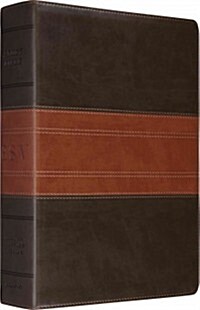 Study Bible-ESV-Trail Design (Imitation Leather)