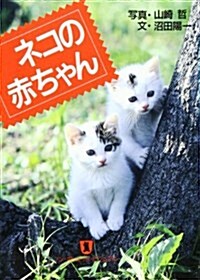 ネコの赤ちゃん (ノン·ポシェット―ノン·ポシェット·ビジュアル) (文庫)