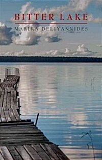 Bitter Lake (Paperback)