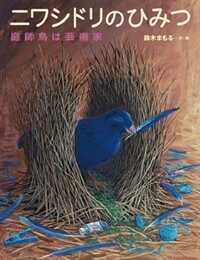 ニワシドリのひみつ : 庭師鳥は芸術家 표지이미지