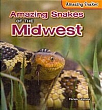 Amazing snakes of the Midwest