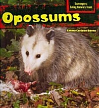 Opossums (Library Binding)