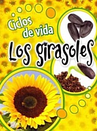 Ciclos de Vida Los Girasoles: Life Cycles: Sunflowers (Paperback)