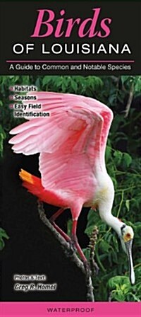 Birds of Louisiana: A Guide to Common & Notable Species (Other)