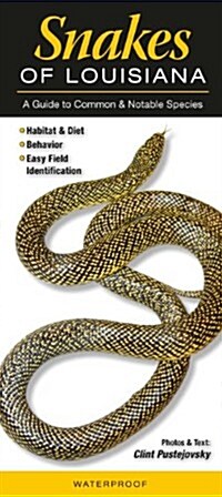 Snakes of Louisiana: A Guide to Common & Notable Species (Other)