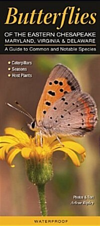 Butterflies of the Eastern Chesapeake: Maryland, Virginia & Delaware: A Guide to Common & Notable Species (Other)