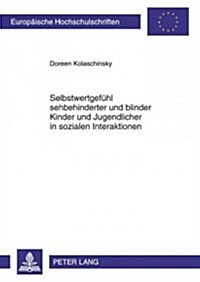 Selbstwertgefuehl Sehbehinderter Und Blinder Kinder Und Jugendlicher in Sozialen Interaktionen: Theorie Und Empirische Untersuchung (Paperback)