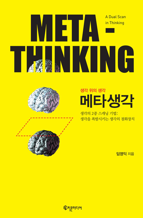 메타생각 META-THINKING : 생각의 2중 스캐닝 기법