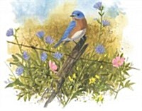 Four Seasons of Birds Keepsake Boxed Notecards (Other)