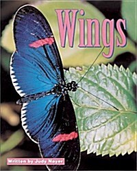 Wings, 6 Pack, Beginning Discovery Phonics (Paperback)