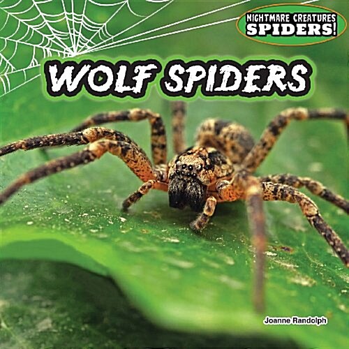 Wolf Spiders (Library Binding)