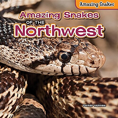 Amazing Snakes of the Northwest (Paperback)