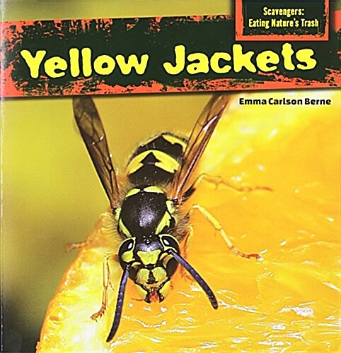 Yellow Jackets (Paperback)