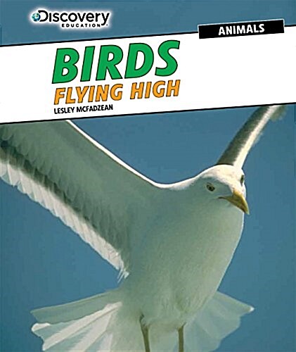 Birds: Flying High (Paperback)